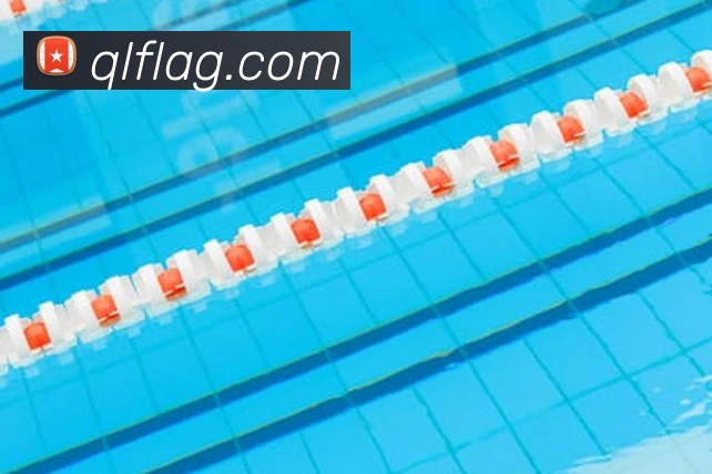 ag百家乐平台生态图